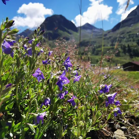 Seina-zeit Ferienhaus