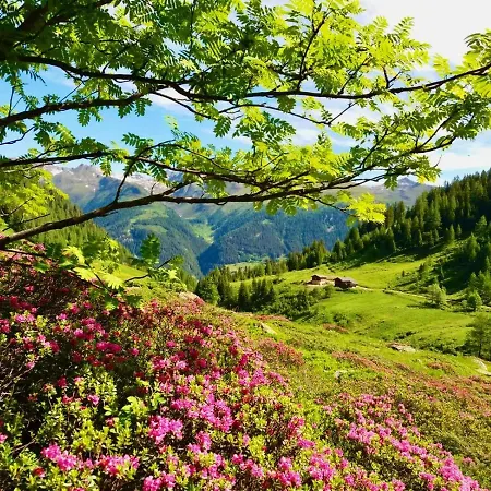 Seina-zeit Holiday home *